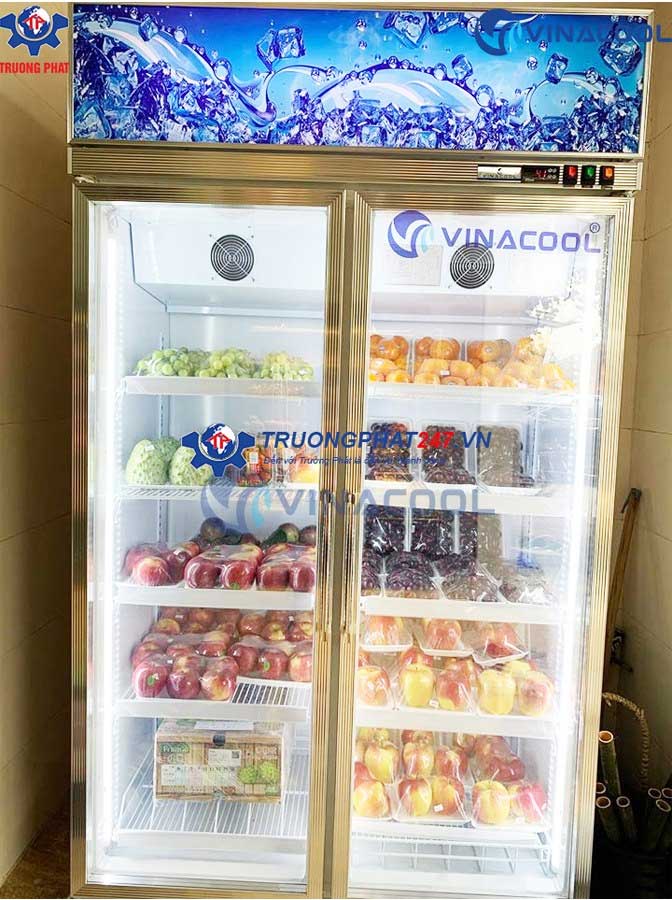 Tủ lạnh để hoa quả 1 cánh